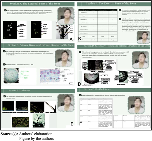 Figure 2 Refer to the image caption for details.