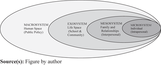 The Ecological Model of Disabilities, based on Brofenbrenner's classical socio-ecological model Refer to the image caption for details.