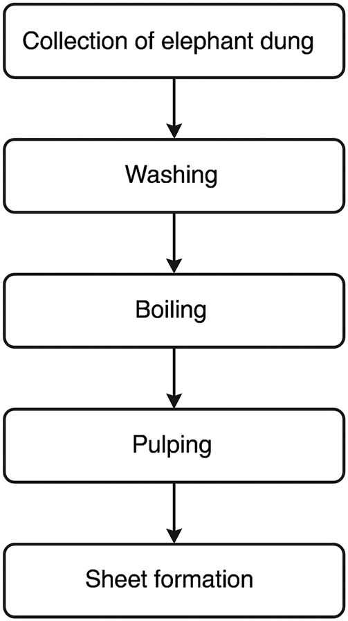 A flowchart shows the five stages of paper production.