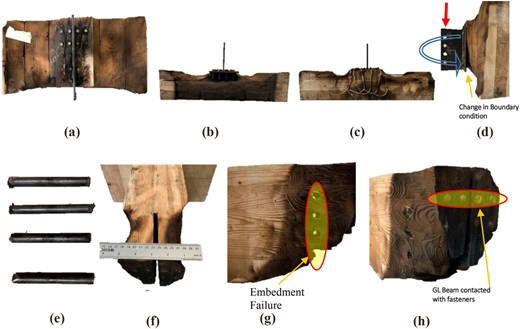Plate 7 Refer to the image caption for details.