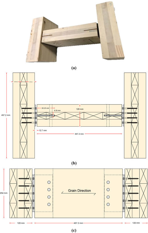 Figure 1 Refer to the image caption for details.