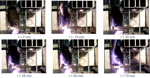 Plate 8 Refer to the image caption for details.