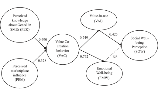 A Conceptual diagram presents pathway coefficients among perceived factors, value co-creation, value-in-use and well-being outcomes.