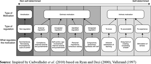 Figure 2 Refer to the image caption for details.