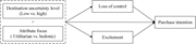 A flowchart links destination uncertainty level and attribute focus to purchase intention.