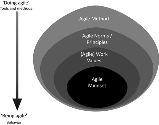 Figure 1 Refer to the image caption for details.