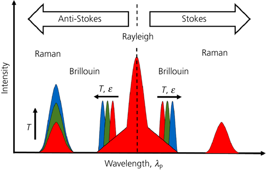 Figure 2 Refer to the image caption for details.