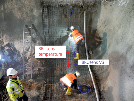 Figure 3 Refer to the image caption for details.