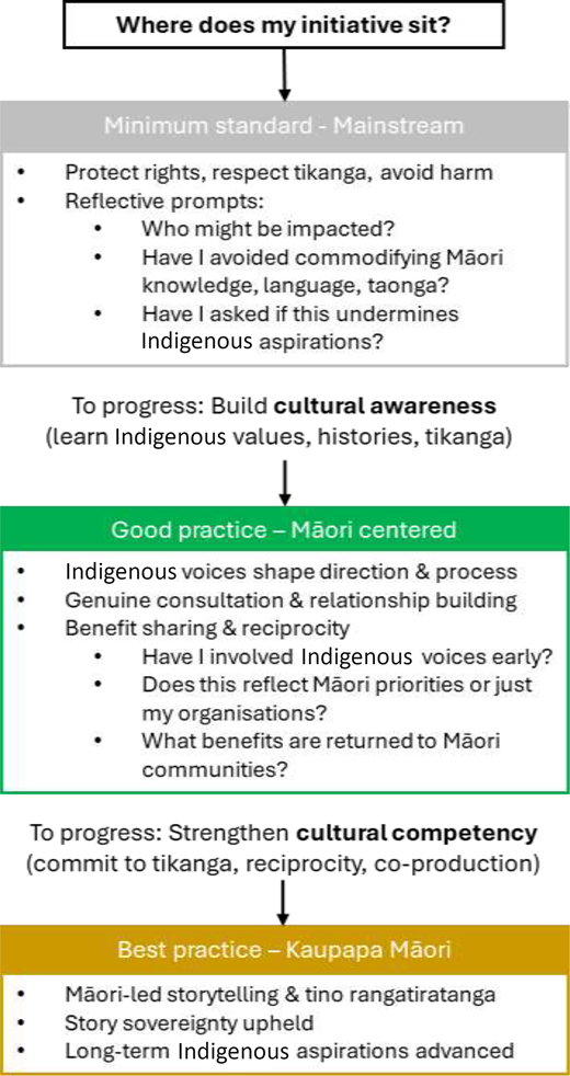 A flowchart outlines initiative stages from minimum standard mainstream to best practice Kaupapa Maori with prompts for cultural awareness and competency.