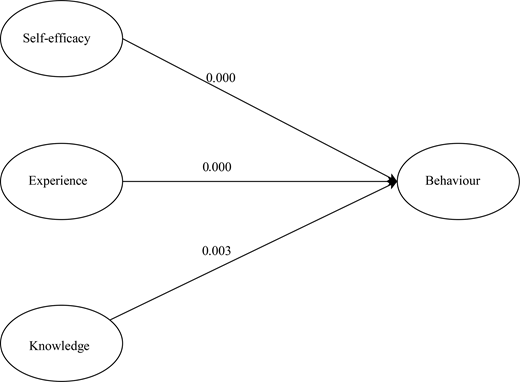 A statistical model reports values for the effects of self-efficacy, experience, and knowledge on behaviour.