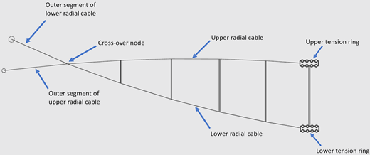 Diagram showing different segments of radial cables and tension rings with labeled components, illustrating the structure and arrangement of cables.