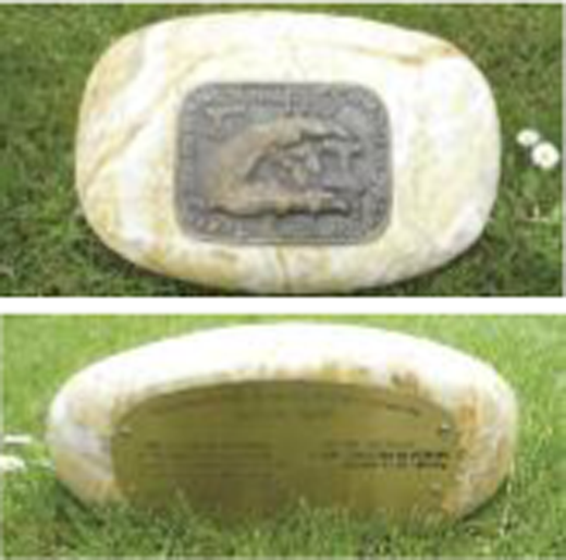 Figure. Refer to the image caption for details.