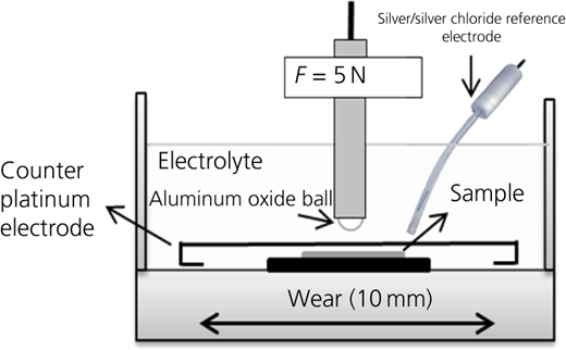 Figure 1 Refer to the image caption for details.