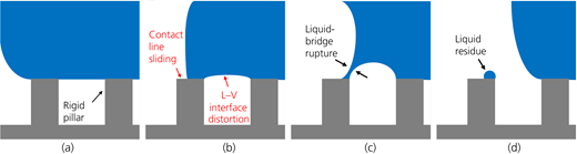 Figure 1 Refer to the image caption for details.
