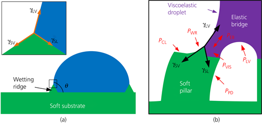 Figure 2 Refer to the image caption for details.