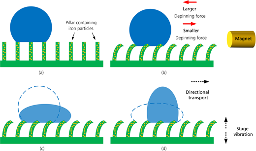 Figure 3 Refer to the image caption for details.