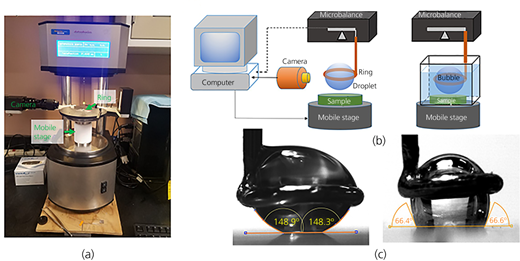 Figure 1 Refer to the image caption for details.