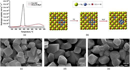 Figure 1. Refer to the image caption for details.