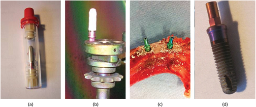 Figure 1 Refer to the image caption for details.