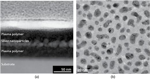 Figure 2 Refer to the image caption for details.