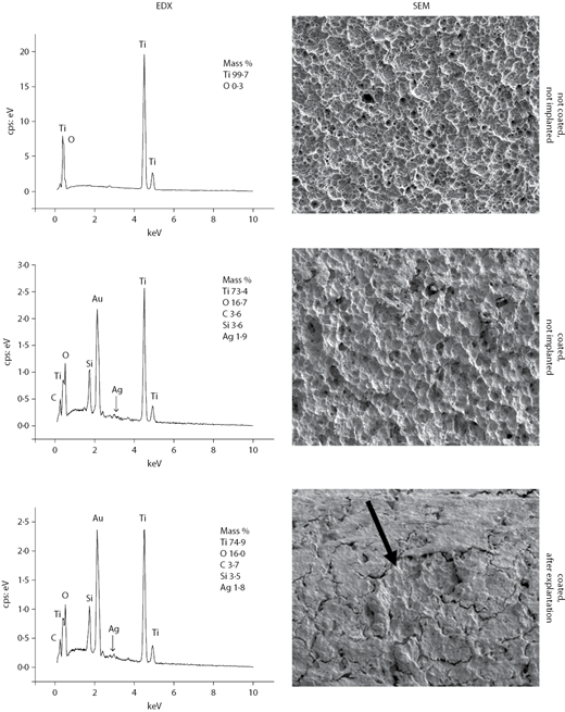 Figure 3 Refer to the image caption for details.