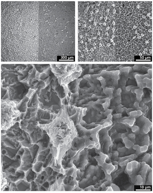 Figure 5 Refer to the image caption for details.