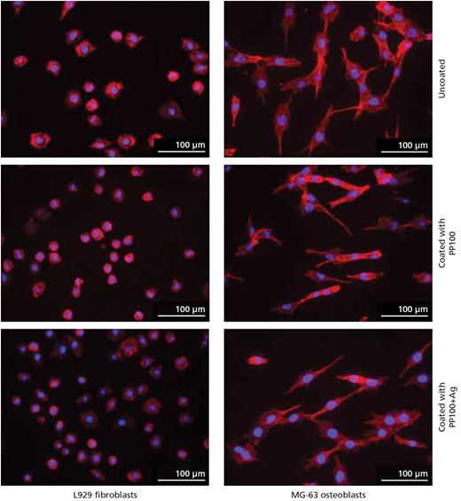 Figure 6 Refer to the image caption for details.