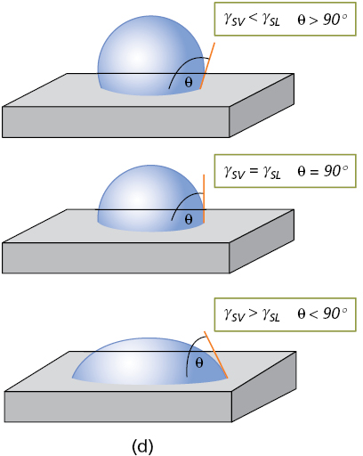 Figure. Refer to the image caption for details.