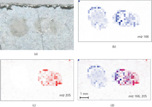Figure 1 Refer to the image caption for details.