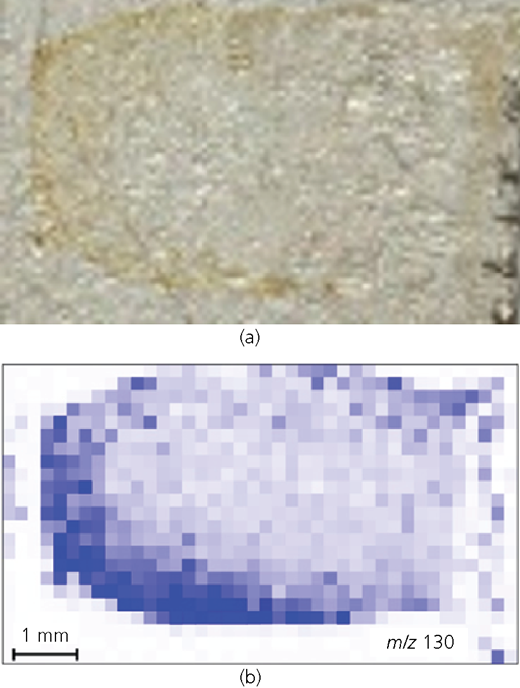 Figure 2 Refer to the image caption for details.