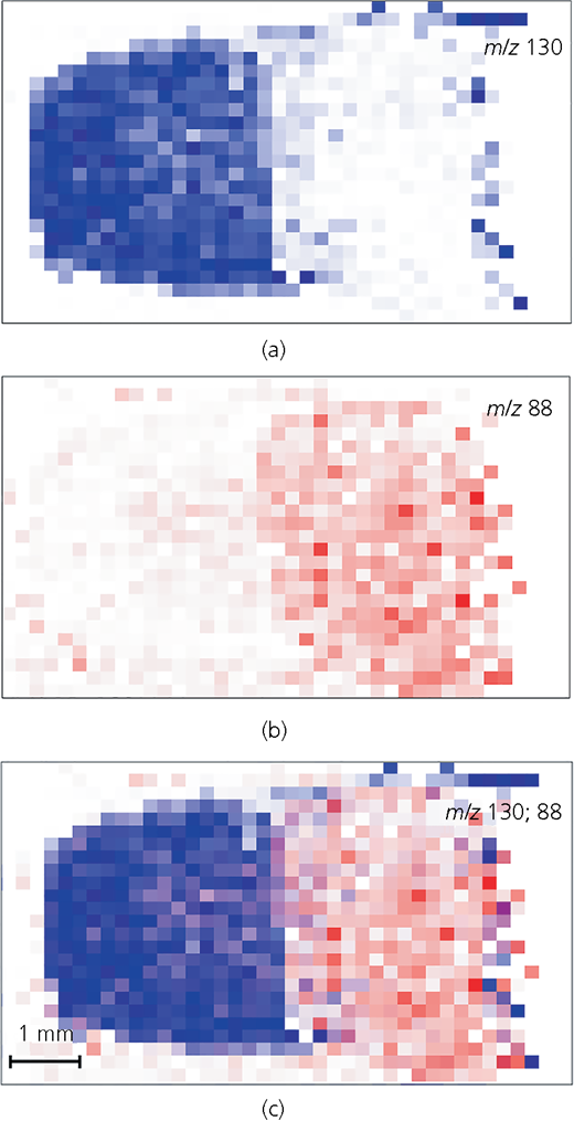 Figure 3 Refer to the image caption for details.
