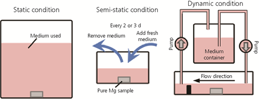 Figure 1 Refer to the image caption for details.