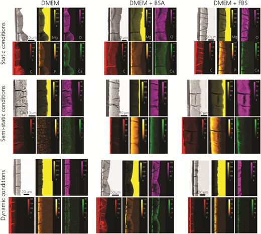 Figure 7 Refer to the image caption for details.