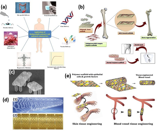Figure 1 Refer to the image caption for details.