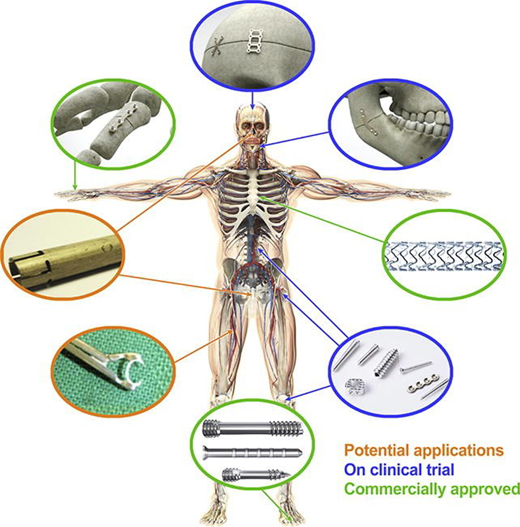 Figure 2 Refer to the image caption for details.