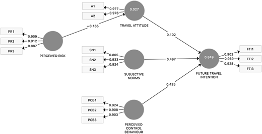 A path model linking perceived risk, travel attitude, subjective norms, and perceived control to future travel intention.