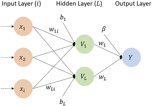 A diagram shows a neural network with input, hidden, and output layers connected by weighted links.