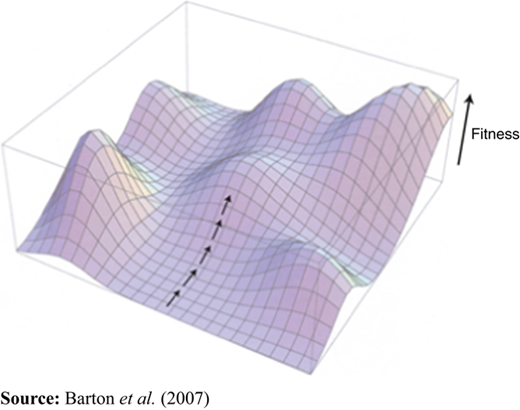 Figure 1 Refer to the image caption for details.