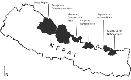 Figure 2 Refer to the image caption for details.