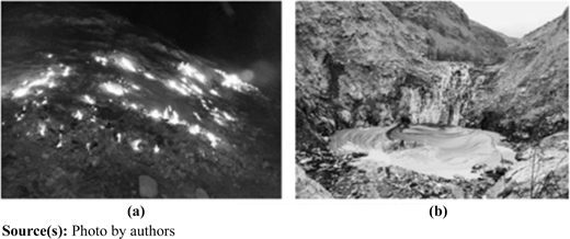 Plate 1 Refer to the image caption for details.