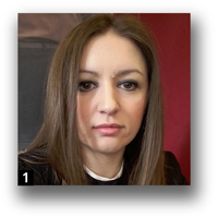 Graphic. Refer to the image caption for details.