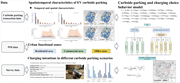 A flow diagram shows data sources, analysis workflow, and an E V curbside parking and charging behaviour model.