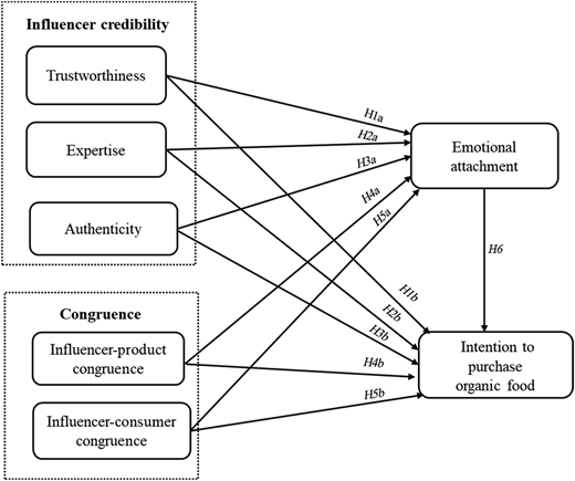 A flowchart shows the relationships between influencer credibility, congruence, emotional attachment, and purchase intention.