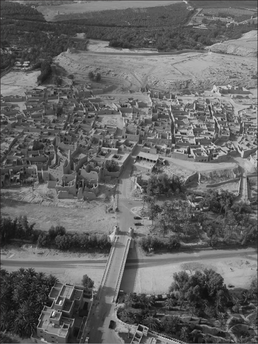 Fig. 2. Refer to the image caption for details.