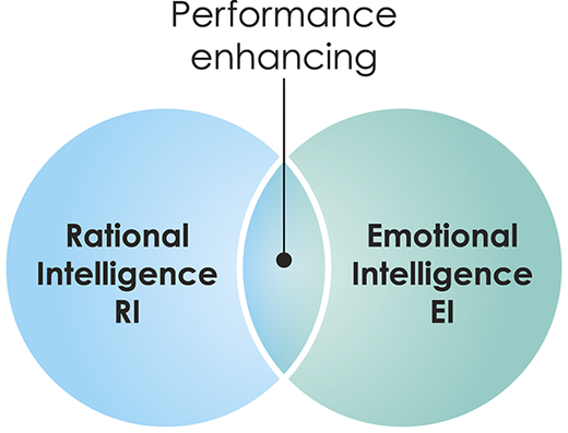 Figure 2 Refer to the image caption for details.