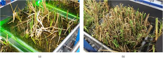 Figure 3. Refer to the image caption for details.