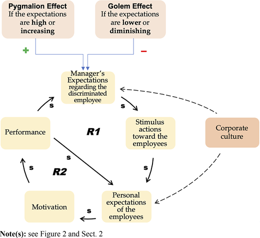 Gender discrimination and the influence of expectations on the performance of employees who suffer discrimination Refer to the image caption for details.