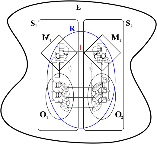 A figure shows a conceptual systems interaction diagram between two subsystems.