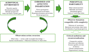 A diagram illustrating the process of perceptual habitability from audiovisual environments to observer formation.