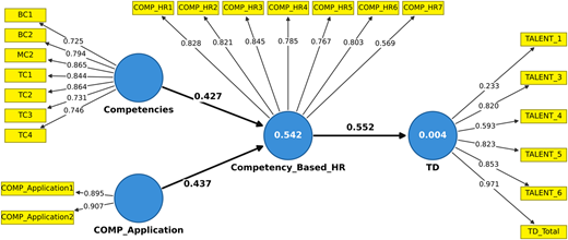 A diagram showing the relationships between competencies, competency application, competency-based HR functions, and talent development.